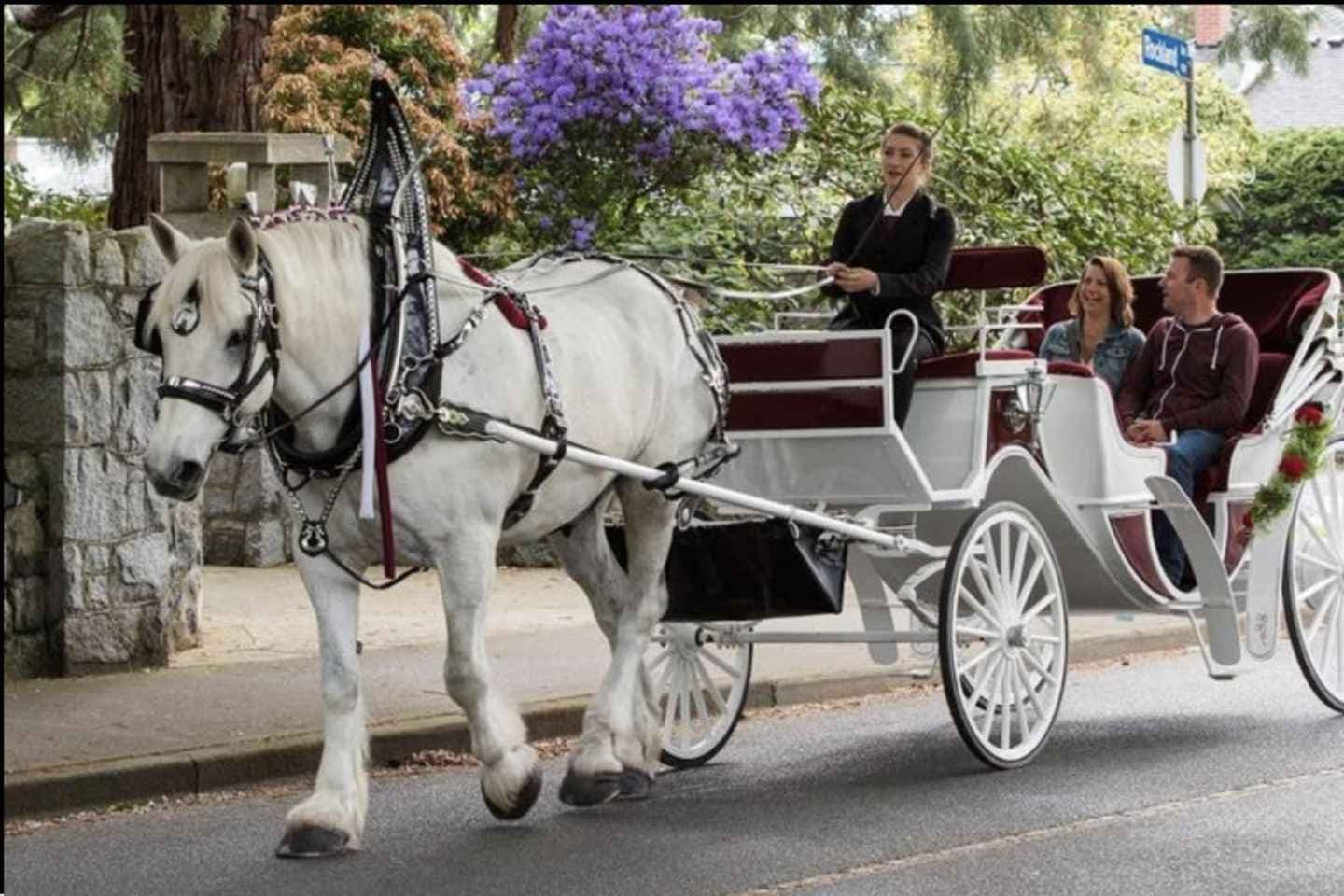 NYC: Private Central Park Horse Carriage Ride with Guide thumbnail