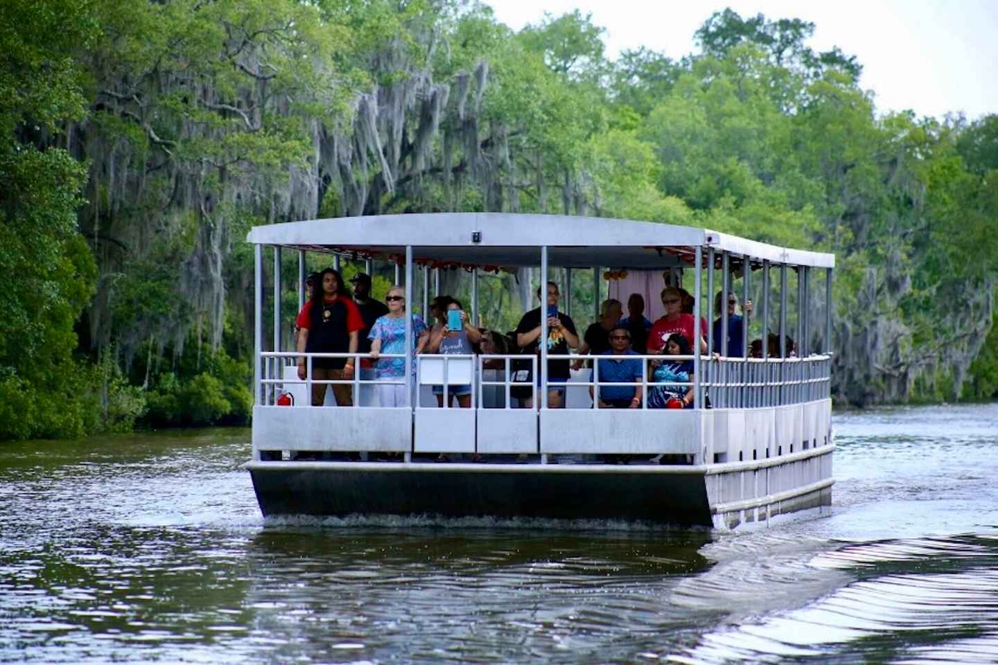New Orleans: Swamp Tour on Covered Pontoon Boat thumbnail