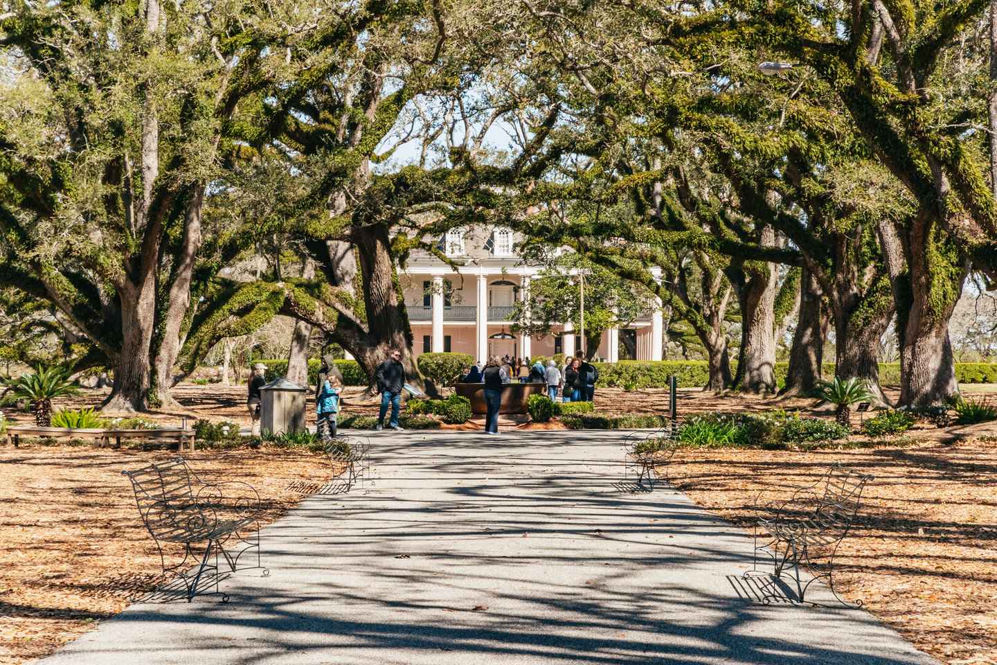 New Orleans: Oak Alley Plantation & Airboat Swamp Combo Tour thumbnail